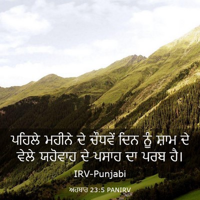 Picture 03 - ਅਹਬਾਰ 23:5 PANIRV - ਪਹਿਲੇ ਮਹੀਨੇ ਦੇ - Bible Verse Picture