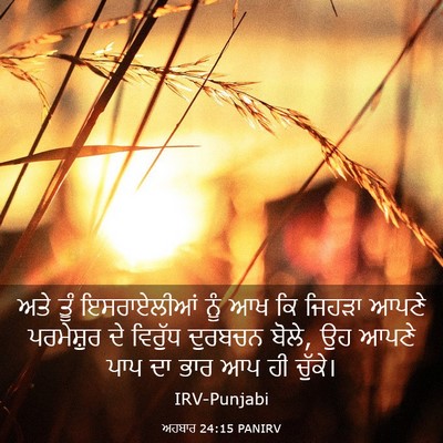 Picture 03 - ਅਹਬਾਰ 24:15 PANIRV - ਅਤੇ ਤੂੰ ਇਸਰਾਏਲੀਆਂ - Bible Verse Picture