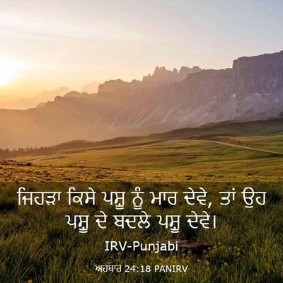 Picture 03 - ਅਹਬਾਰ 24:18 PANIRV - ਜਿਹੜਾ ਕਿਸੇ ਪਸ਼ੂ - Bible Verse Picture