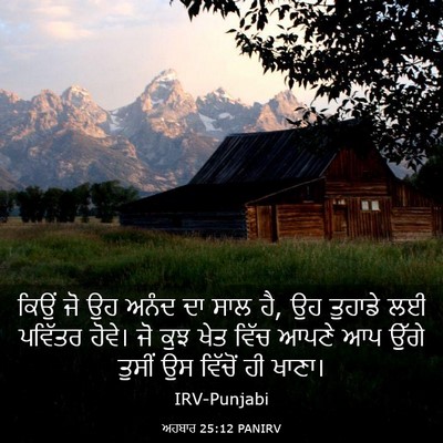 Picture 03 - ਅਹਬਾਰ 25:12 PANIRV - ਕਿਉਂ ਜੋ ਉਹ ਅਨੰਦ ਦਾ - Bible Verse Picture