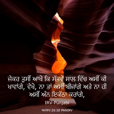 Picture 03 - ਅਹਬਾਰ 25:20 PANIRV - ਜੇਕਰ ਤੁਸੀਂ ਆਖੋ ਕਿ - Bible Verse Picture