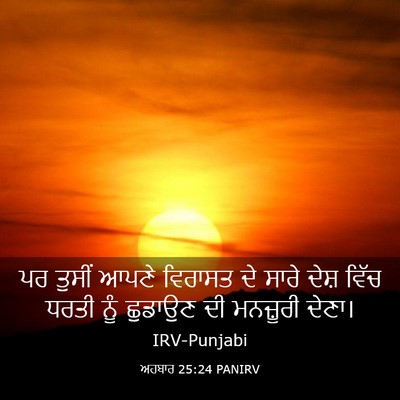 Picture 03 - ਅਹਬਾਰ 25:24 PANIRV - ਪਰ ਤੁਸੀਂ ਆਪਣੇ - Bible Verse Picture