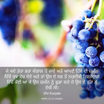 Picture 03 - ਅਹਬਾਰ 25:25 PANIRV - ਜੇ ਕਦੇ ਤੇਰਾ ਭਰਾ - Bible Verse Picture