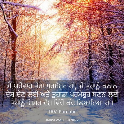 Picture 03 - ਅਹਬਾਰ 25:38 PANIRV - ਮੈਂ ਯਹੋਵਾਹ ਤੇਰਾ - Bible Verse Picture