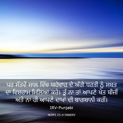 Picture 03 - ਅਹਬਾਰ 25:4 PANIRV - ਪਰ ਸੱਤਵੇਂ ਸਾਲ ਵਿੱਚ - Bible Verse Picture