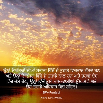 Picture 03 - ਅਹਬਾਰ 25:45 PANIRV - ਉਨ੍ਹਾਂ ਓਪਰਿਆਂ - Bible Verse Picture