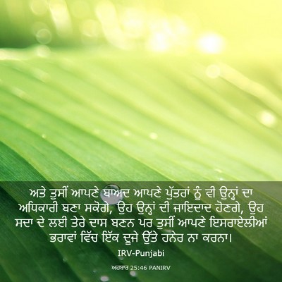 Picture 03 - ਅਹਬਾਰ 25:46 PANIRV - ਅਤੇ ਤੁਸੀਂ ਆਪਣੇ - Bible Verse Picture