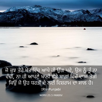 Picture 03 - ਅਹਬਾਰ 25:5 PANIRV - ਜੋ ਕੁਝ ਤੇਰੇ ਖੇਤ - Bible Verse Picture