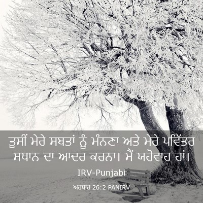 Picture 03 - ਅਹਬਾਰ 26:2 PANIRV - ਤੁਸੀਂ ਮੇਰੇ ਸਬਤਾਂ - Bible Verse Picture