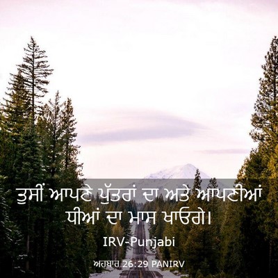 Picture 03 - ਅਹਬਾਰ 26:29 PANIRV - ਤੁਸੀਂ ਆਪਣੇ - Bible Verse Picture