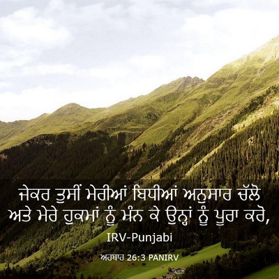 Picture 03 - ਅਹਬਾਰ 26:3 PANIRV - ਜੇਕਰ ਤੁਸੀਂ ਮੇਰੀਆਂ - Bible Verse Picture