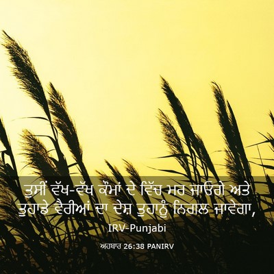 Picture 03 - ਅਹਬਾਰ 26:38 PANIRV - ਤੁਸੀਂ ਵੱਖ-ਵੱਖ - Bible Verse Picture