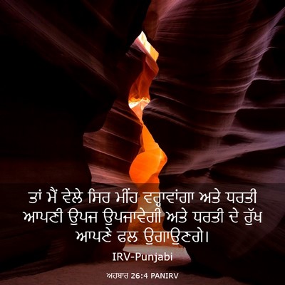 Picture 03 - ਅਹਬਾਰ 26:4 PANIRV - ਤਾਂ ਮੈਂ ਵੇਲੇ ਸਿਰ - Bible Verse Picture