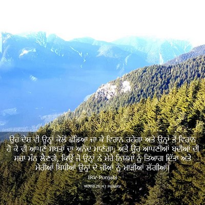 Picture 03 - ਅਹਬਾਰ 26:43 PANIRV - ਉਹ ਦੇਸ਼ ਵੀ ਉਨ੍ਹਾਂ - Bible Verse Picture