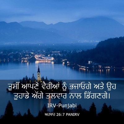 Picture 03 - ਅਹਬਾਰ 26:7 PANIRV - ਤੁਸੀਂ ਆਪਣੇ ਵੈਰੀਆਂ - Bible Verse Picture