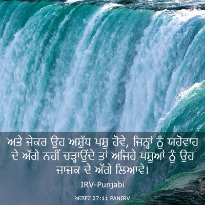 Picture 03 - ਅਹਬਾਰ 27:11 PANIRV - ਅਤੇ ਜੇਕਰ ਉਹ ਅਸ਼ੁੱਧ - Bible Verse Picture