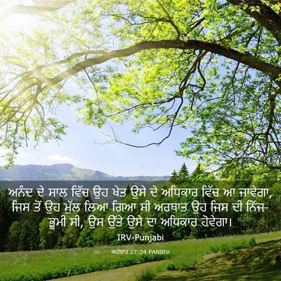 Picture 03 - ਅਹਬਾਰ 27:24 PANIRV - ਅਨੰਦ ਦੇ ਸਾਲ ਵਿੱਚ ਉਹ - Bible Verse Picture