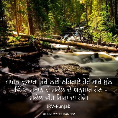 Picture 03 - ਅਹਬਾਰ 27:25 PANIRV - ਜਾਜਕ ਦੁਆਰਾ ਤੇਰੇ ਲਈ - Bible Verse Picture