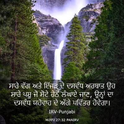 Picture 03 - ਅਹਬਾਰ 27:32 PANIRV - ਸਾਰੇ ਵੱਗ ਅਤੇ ਇੱਜੜ - Bible Verse Picture