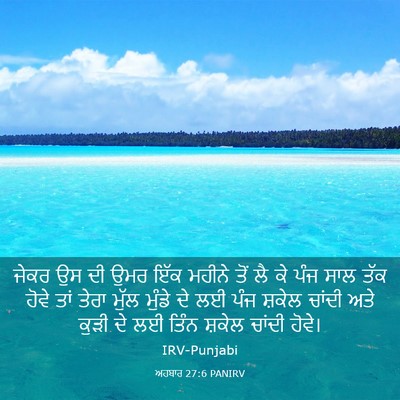 Picture 03 - ਅਹਬਾਰ 27:6 PANIRV - ਜੇਕਰ ਉਸ ਦੀ ਉਮਰ ਇੱਕ - Bible Verse Picture