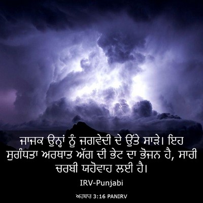 Picture 03 - ਅਹਬਾਰ 3:16 PANIRV - ਜਾਜਕ ਉਨ੍ਹਾਂ ਨੂੰ - Bible Verse Picture