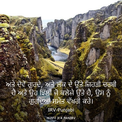 Picture 03 - ਅਹਬਾਰ 3:4 PANIRV - ਅਤੇ ਦੋਵੇਂ ਗੁਰਦੇ, - Bible Verse Picture