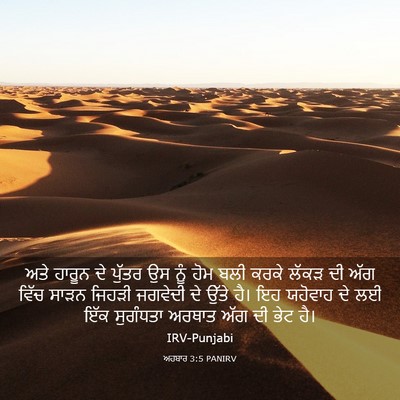 Picture 03 - ਅਹਬਾਰ 3:5 PANIRV - ਅਤੇ ਹਾਰੂਨ ਦੇ ਪੁੱਤਰ - Bible Verse Picture