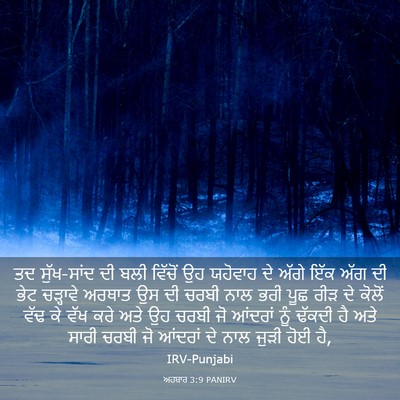 Picture 03 - ਅਹਬਾਰ 3:9 PANIRV - ਤਦ ਸੁੱਖ-ਸਾਂਦ ਦੀ ਬਲੀ - Bible Verse Picture