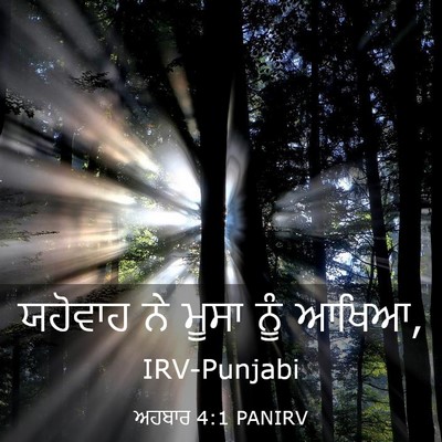 Picture 03 - ਅਹਬਾਰ 4:1 PANIRV - ਯਹੋਵਾਹ ਨੇ ਮੂਸਾ ਨੂੰ - Bible Verse Picture