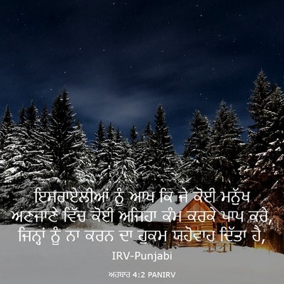 Picture 03 - ਅਹਬਾਰ 4:2 PANIRV - ਇਸਰਾਏਲੀਆਂ ਨੂੰ ਆਖ - Bible Verse Picture