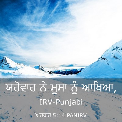 Picture 03 - ਅਹਬਾਰ 5:14 PANIRV - ਯਹੋਵਾਹ ਨੇ ਮੂਸਾ ਨੂੰ - Bible Verse Picture