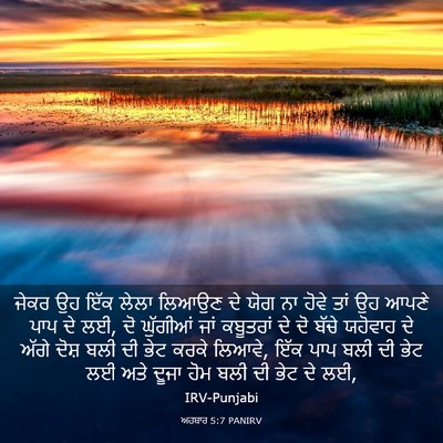 Picture 03 - ਅਹਬਾਰ 5:7 PANIRV - ਜੇਕਰ ਉਹ ਇੱਕ ਲੇਲਾ - Bible Verse Picture