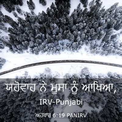 Picture 03 - ਅਹਬਾਰ 6:19 PANIRV - ਯਹੋਵਾਹ ਨੇ ਮੂਸਾ ਨੂੰ - Bible Verse Picture