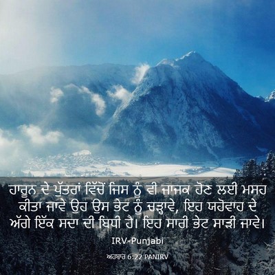 Picture 03 - ਅਹਬਾਰ 6:22 PANIRV - ਹਾਰੂਨ ਦੇ ਪੁੱਤਰਾਂ - Bible Verse Picture