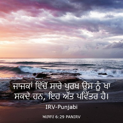 Picture 03 - ਅਹਬਾਰ 6:29 PANIRV - ਜਾਜਕਾਂ ਵਿੱਚੋਂ - Bible Verse Picture