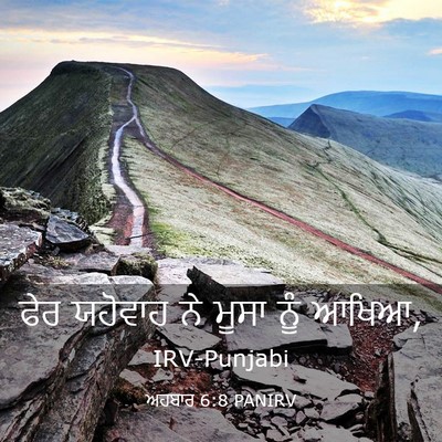 Picture 03 - ਅਹਬਾਰ 6:8 PANIRV - ਫੇਰ ਯਹੋਵਾਹ ਨੇ ਮੂਸਾ - Bible Verse Picture
