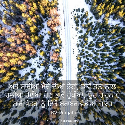 Picture 03 - ਅਹਬਾਰ 7:10 PANIRV - ਅਤੇ ਸਾਰੀਆਂ ਮੈਦੇ - Bible Verse Picture