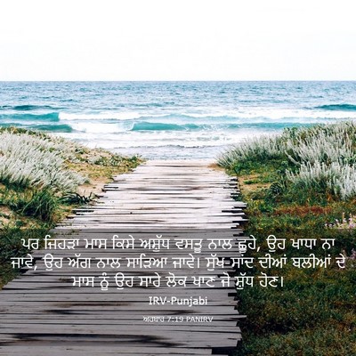 Picture 03 - ਅਹਬਾਰ 7:19 PANIRV - ਪਰ ਜਿਹੜਾ ਮਾਸ ਕਿਸੇ - Bible Verse Picture