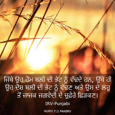 Picture 03 - ਅਹਬਾਰ 7:2 PANIRV - ਜਿੱਥੇ ਉਹ ਹੋਮ ਬਲੀ ਦੀ - Bible Verse Picture