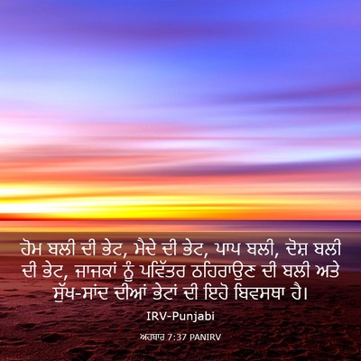 Picture 03 - ਅਹਬਾਰ 7:37 PANIRV - ਹੋਮ ਬਲੀ ਦੀ ਭੇਟ, - Bible Verse Picture
