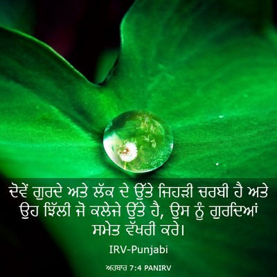 Picture 03 - ਅਹਬਾਰ 7:4 PANIRV - ਦੋਵੇਂ ਗੁਰਦੇ ਅਤੇ - Bible Verse Picture