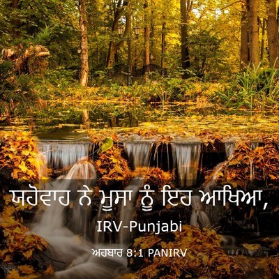 Picture 03 - ਅਹਬਾਰ 8:1 PANIRV - ਯਹੋਵਾਹ ਨੇ ਮੂਸਾ ਨੂੰ - Bible Verse Picture