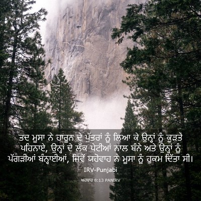 Picture 03 - ਅਹਬਾਰ 8:13 PANIRV - ਤਦ ਮੂਸਾ ਨੇ ਹਾਰੂਨ ਦੇ - Bible Verse Picture