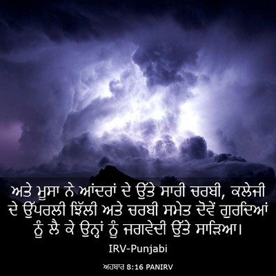 Picture 03 - ਅਹਬਾਰ 8:16 PANIRV - ਅਤੇ ਮੂਸਾ ਨੇ ਆਂਦਰਾਂ - Bible Verse Picture