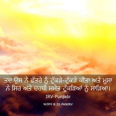 Picture 03 - ਅਹਬਾਰ 8:20 PANIRV - ਤਦ ਉਸ ਨੇ ਛੱਤਰੇ ਨੂੰ - Bible Verse Picture