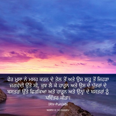 Picture 03 - ਅਹਬਾਰ 8:30 PANIRV - ਫੇਰ ਮੂਸਾ ਨੇ ਮਸਹ ਕਰਨ - Bible Verse Picture