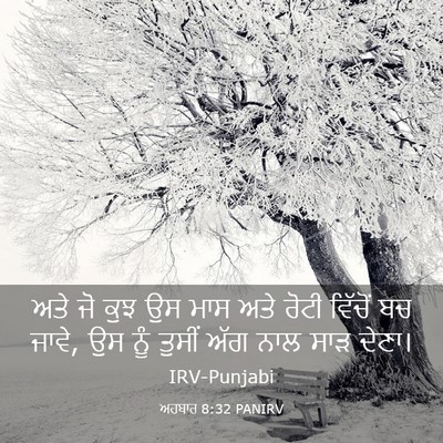 Picture 03 - ਅਹਬਾਰ 8:32 PANIRV - ਅਤੇ ਜੋ ਕੁਝ ਉਸ ਮਾਸ - Bible Verse Picture