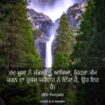 Picture 03 - ਅਹਬਾਰ 8:5 PANIRV - ਤਦ ਮੂਸਾ ਨੇ ਮੰਡਲੀ - Bible Verse Picture