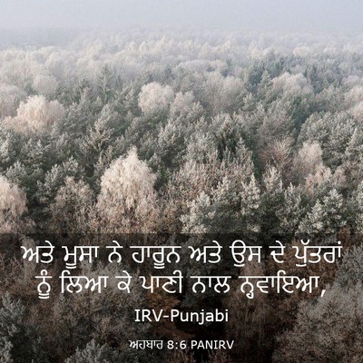 Picture 03 - ਅਹਬਾਰ 8:6 PANIRV - ਅਤੇ ਮੂਸਾ ਨੇ ਹਾਰੂਨ - Bible Verse Picture