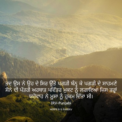 Picture 03 - ਅਹਬਾਰ 8:9 PANIRV - ਤਦ ਉਸ ਨੇ ਉਹ ਦੇ ਸਿਰ - Bible Verse Picture